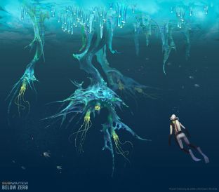 Plants under an ice shelf
