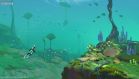 Lily Pad islands
