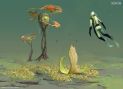 Underwater plants