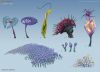 Generic plants. Subnautica