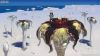Surface giant plants. Subnautica