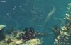 Twisty bridges. Subnautica